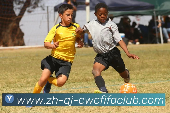 辅助工具 辅助工具